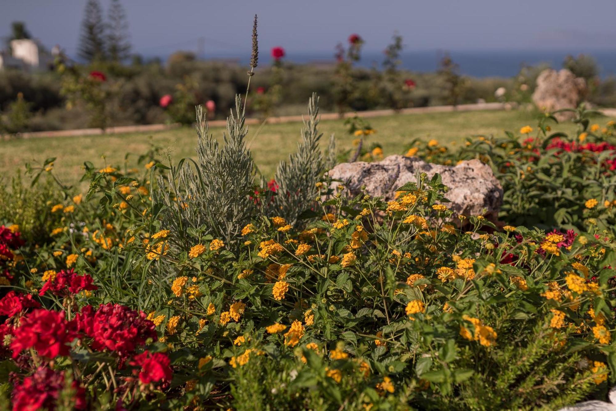 Koukos Villas Stalós Rum bild