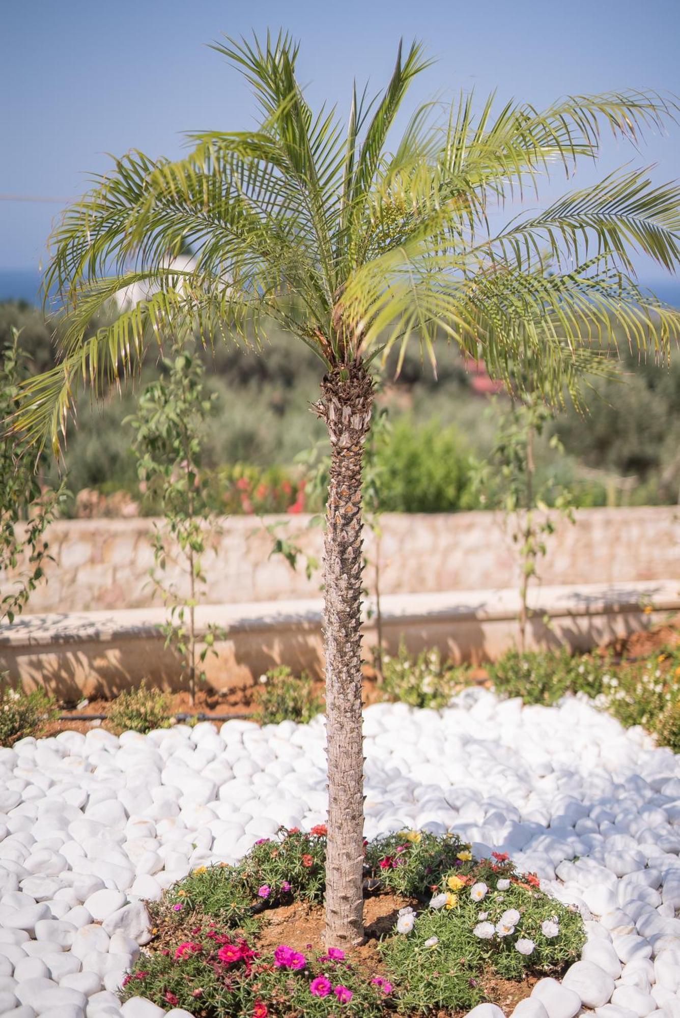 Koukos Villas Stalós Rum bild